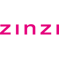 Zinzi logo