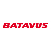 Batavus