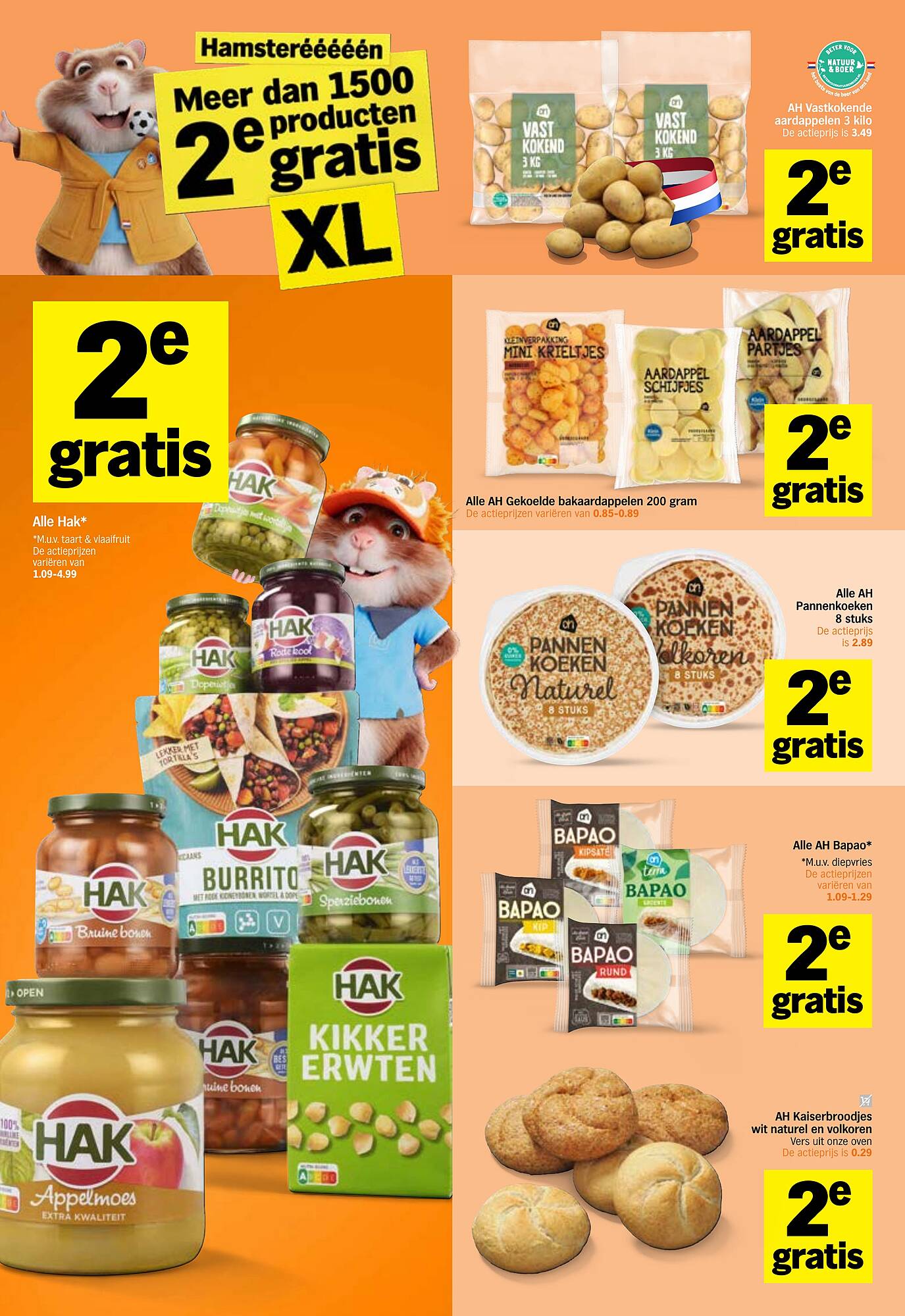 AH XL folder - Pagina 3