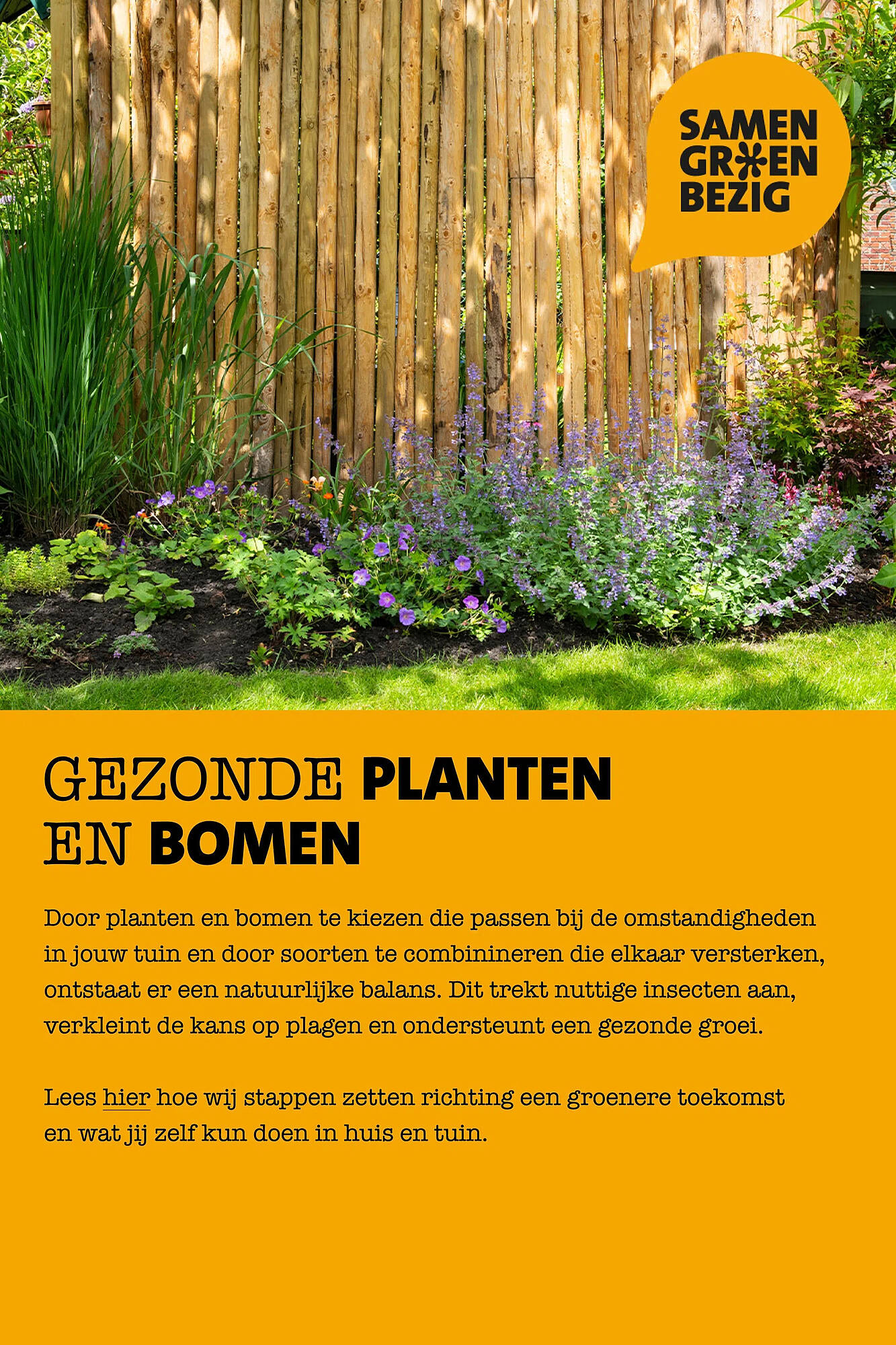 Intratuin folder - Pagina 5