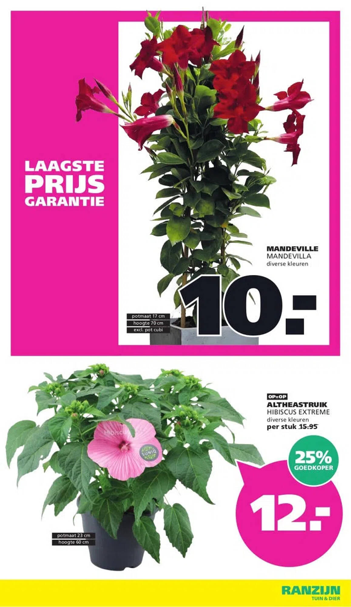 Ranzijn folder - Pagina 3