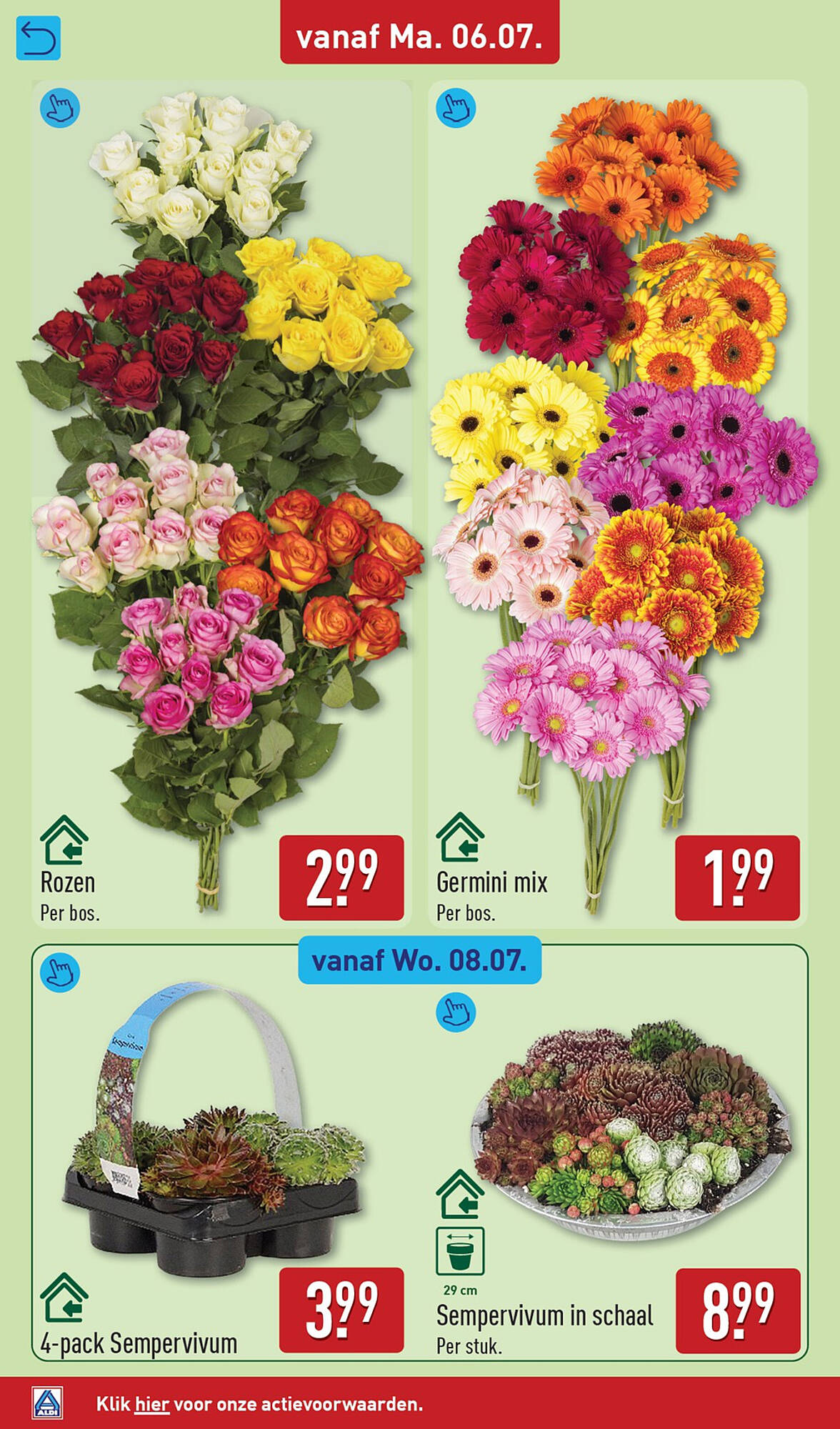 ALDI folder - Pagina 36