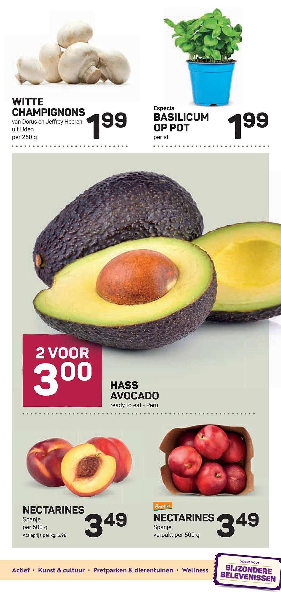 Ekoplaza folder - Pagina 9