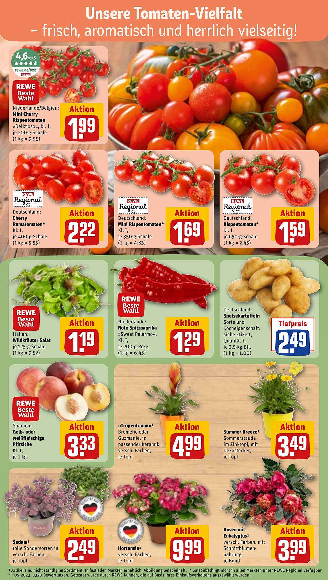 REWE folder - Pagina 5