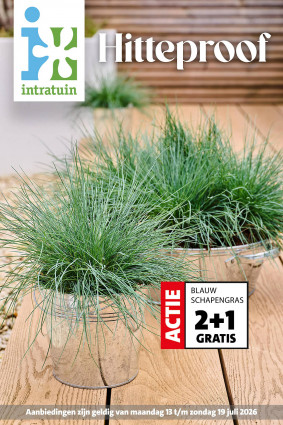 Intratuin folder