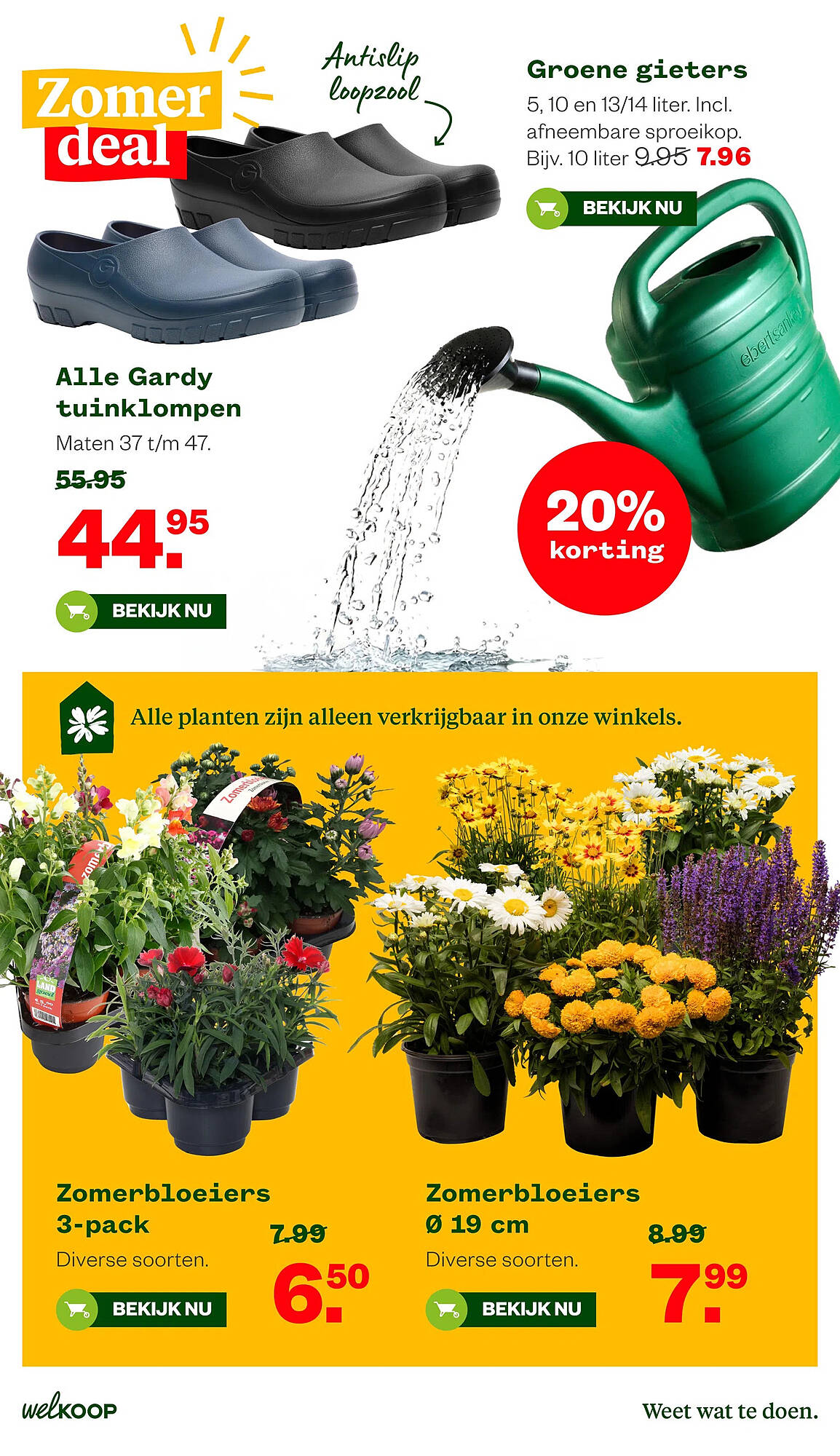 Welkoop folder - Pagina 12
