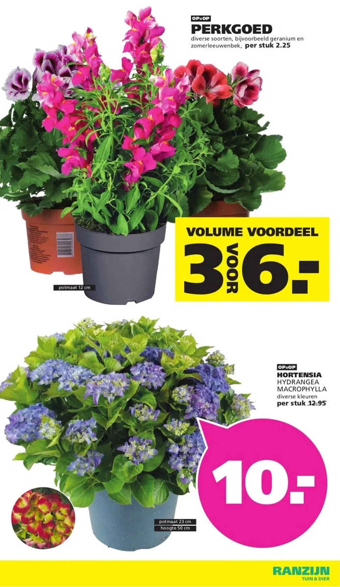 Ranzijn folder - Pagina 2