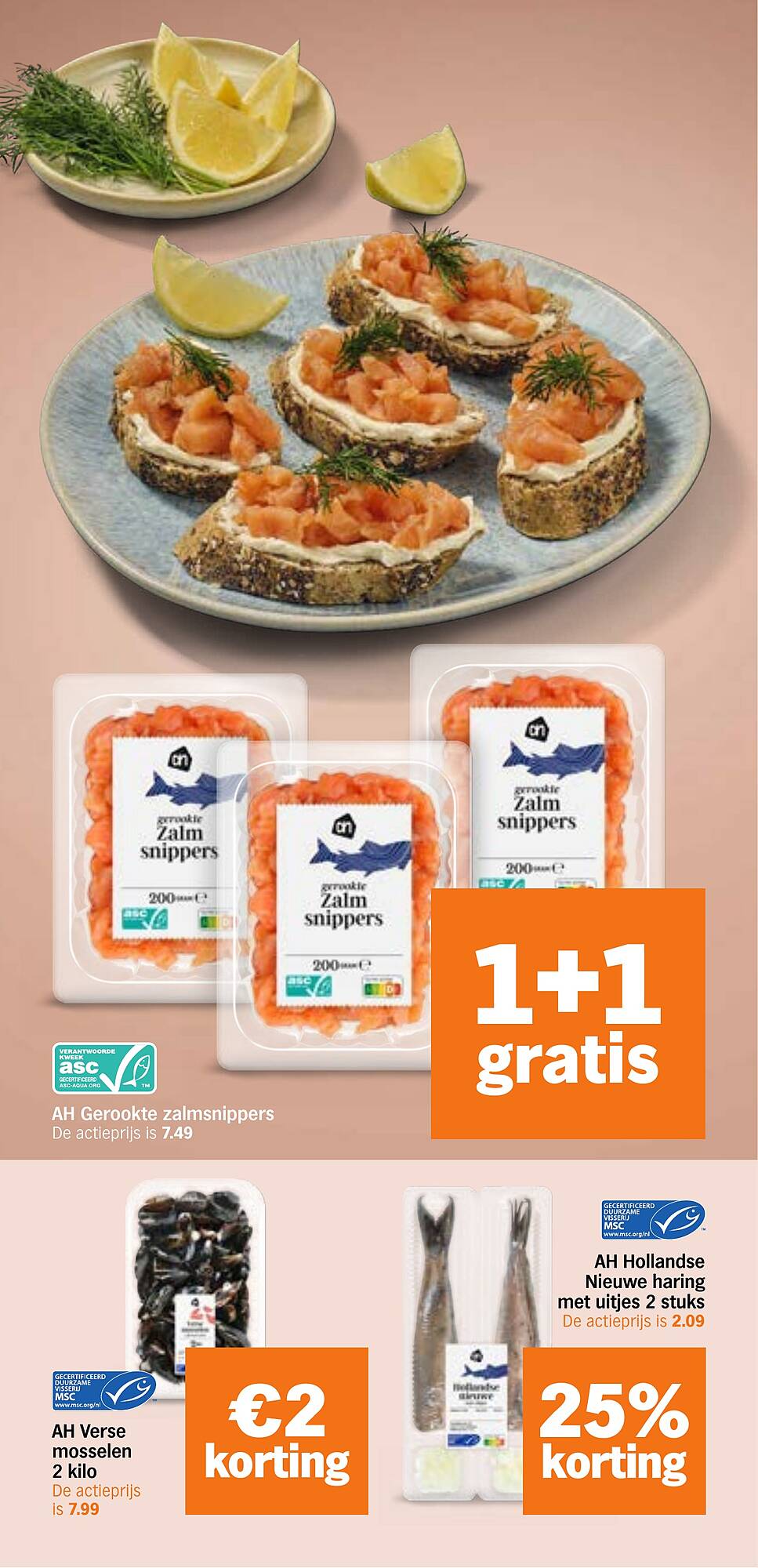 AH XL folder - Pagina 10