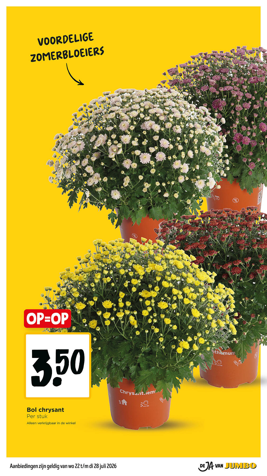 Jumbo folder - Pagina 28