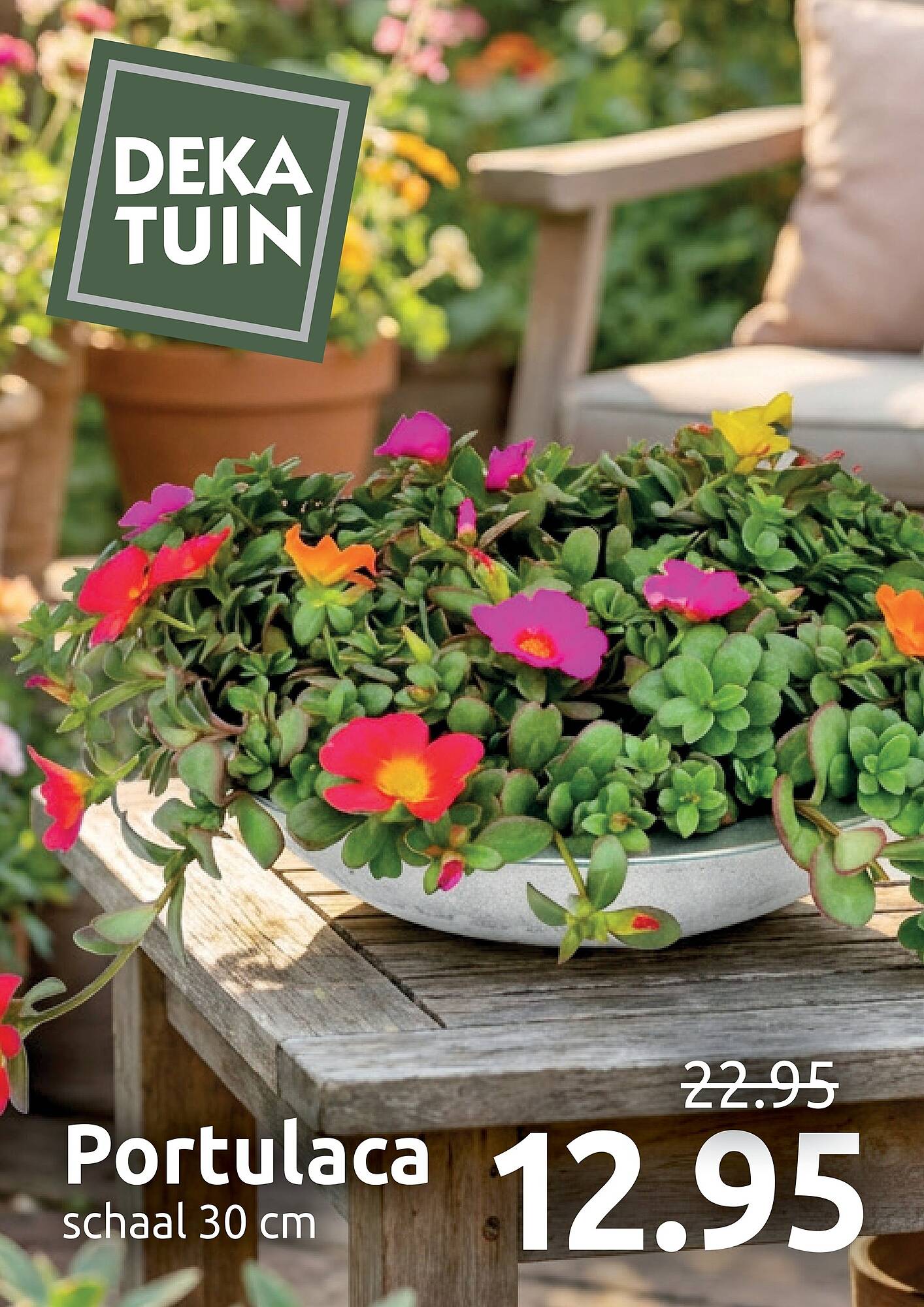 Deka Tuin folder - Pagina 1