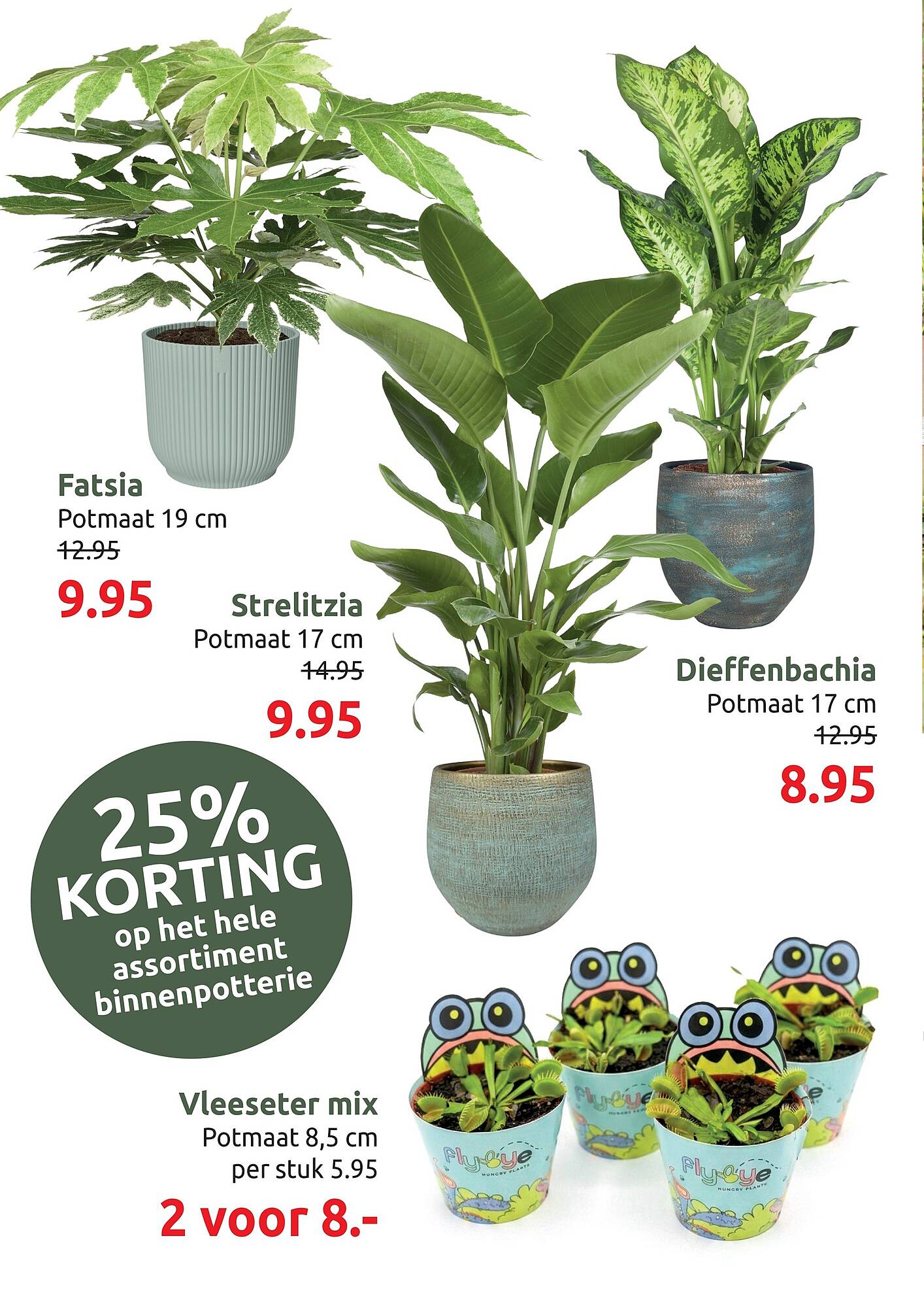 Deka Tuin folder - Pagina 2
