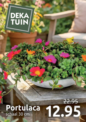 Deka Tuin folder