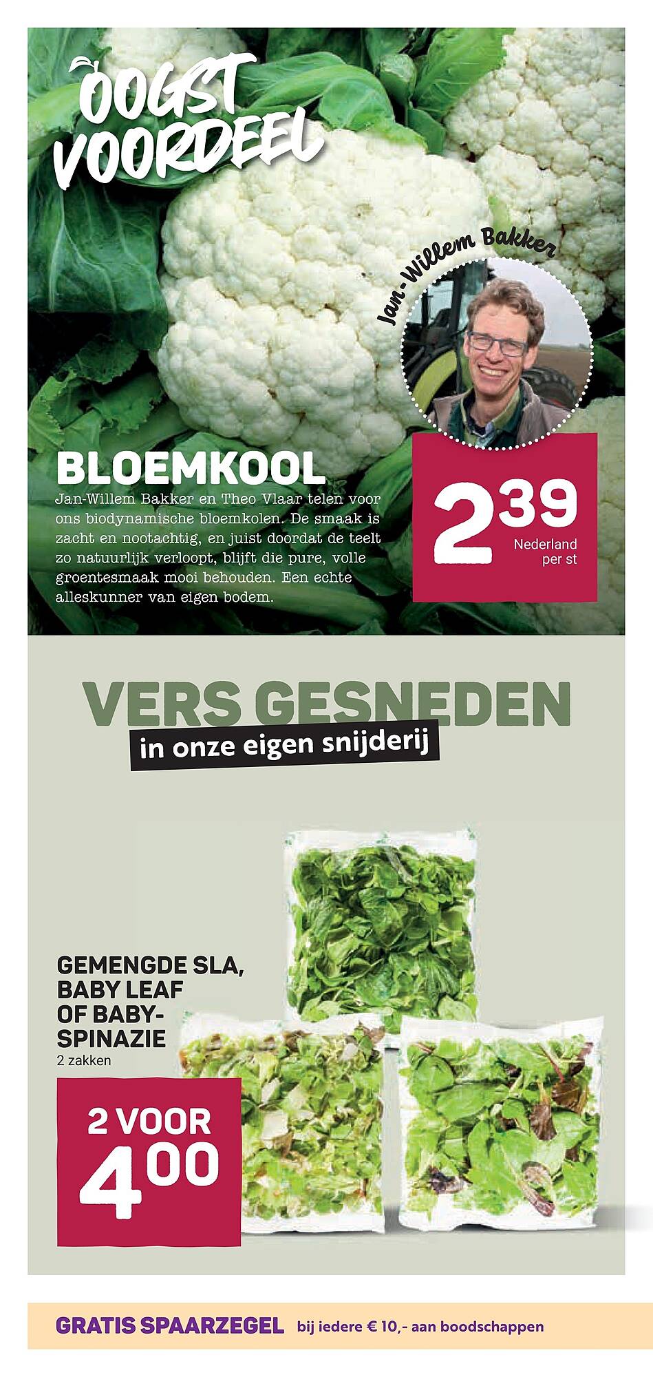 Ekoplaza folder - Pagina 10
