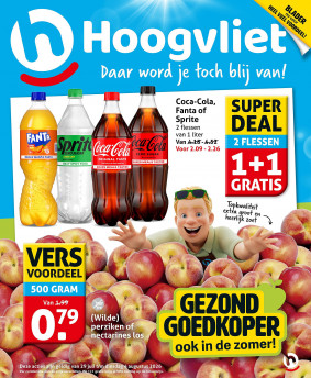 Hoogvliet folder