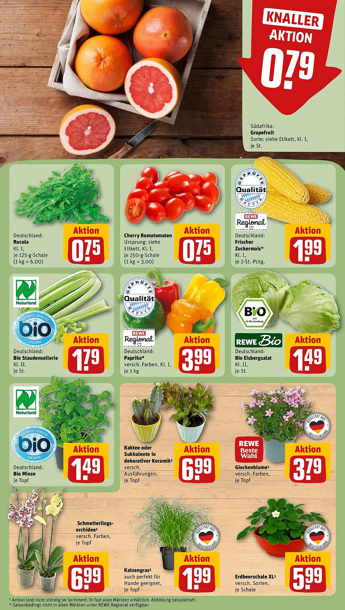 REWE folder - Pagina 5