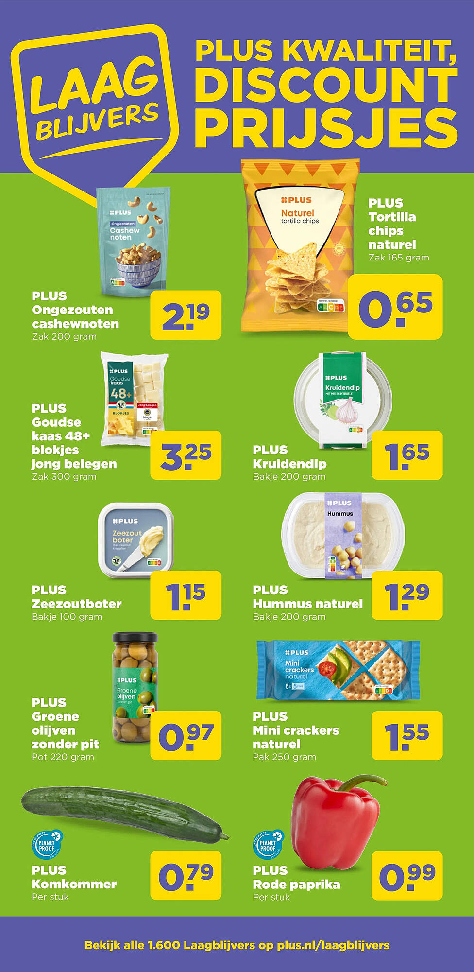 PLUS folder - Pagina 17