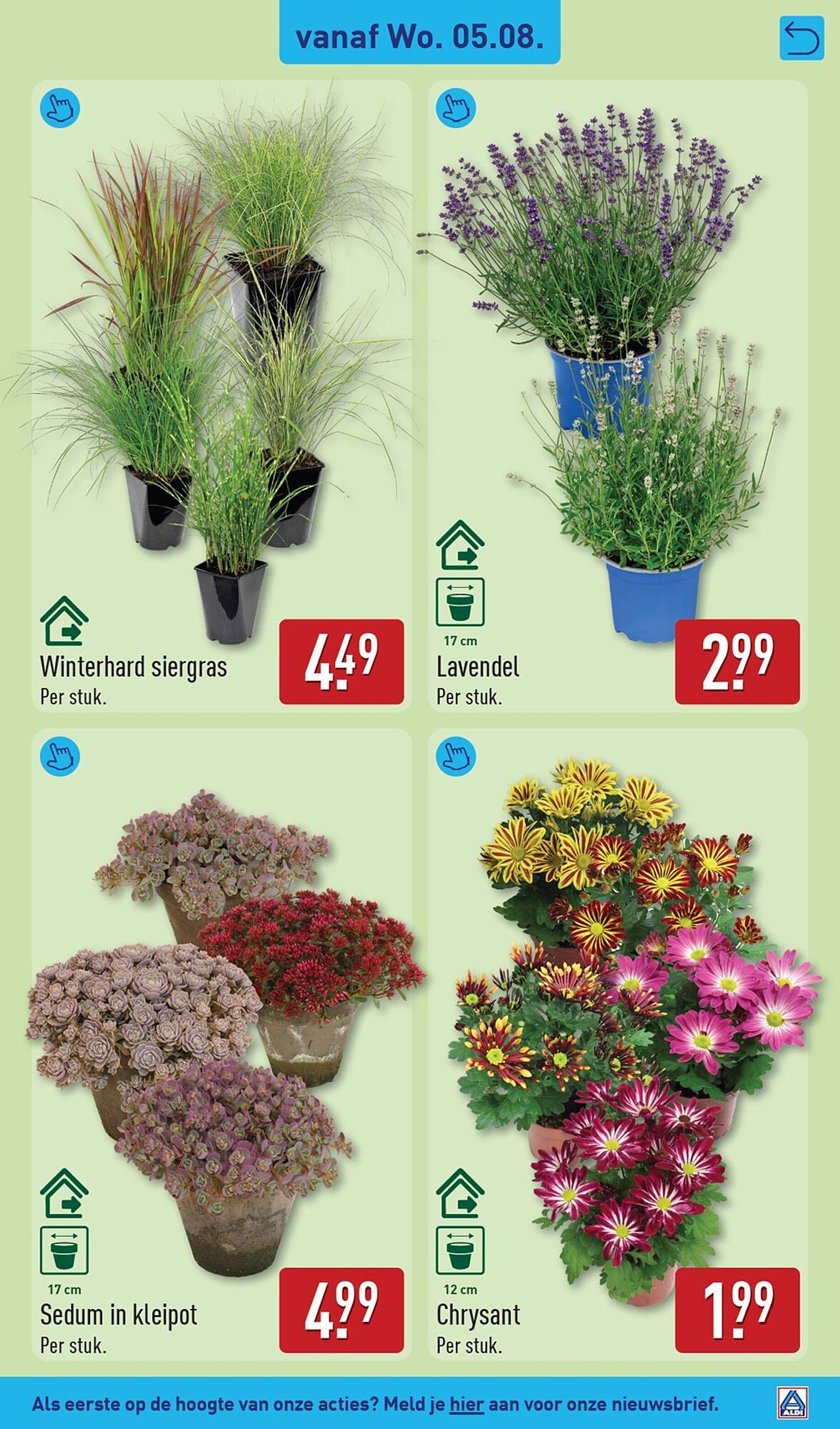 ALDI folder - Pagina 31