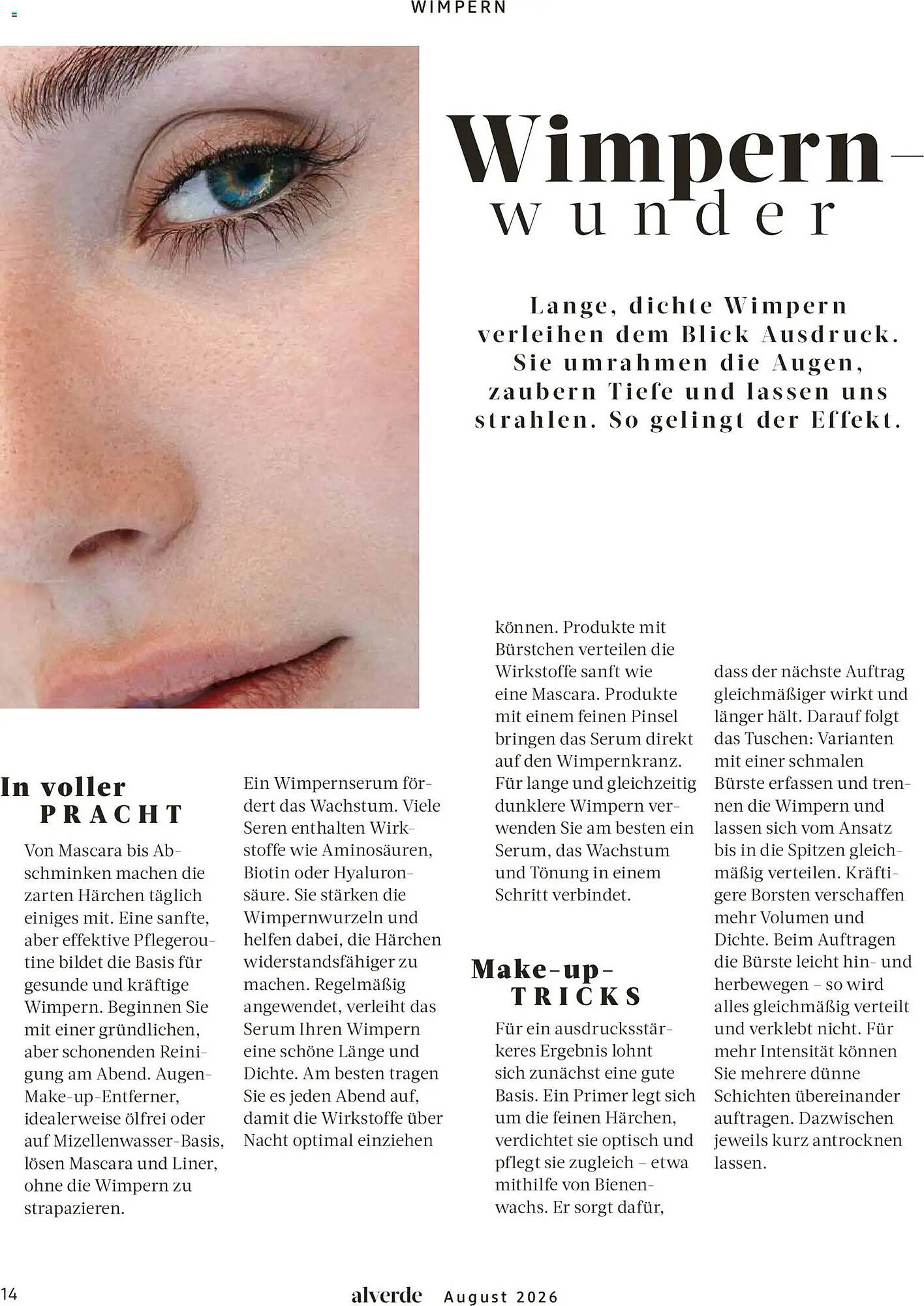 dm folder - Pagina 14