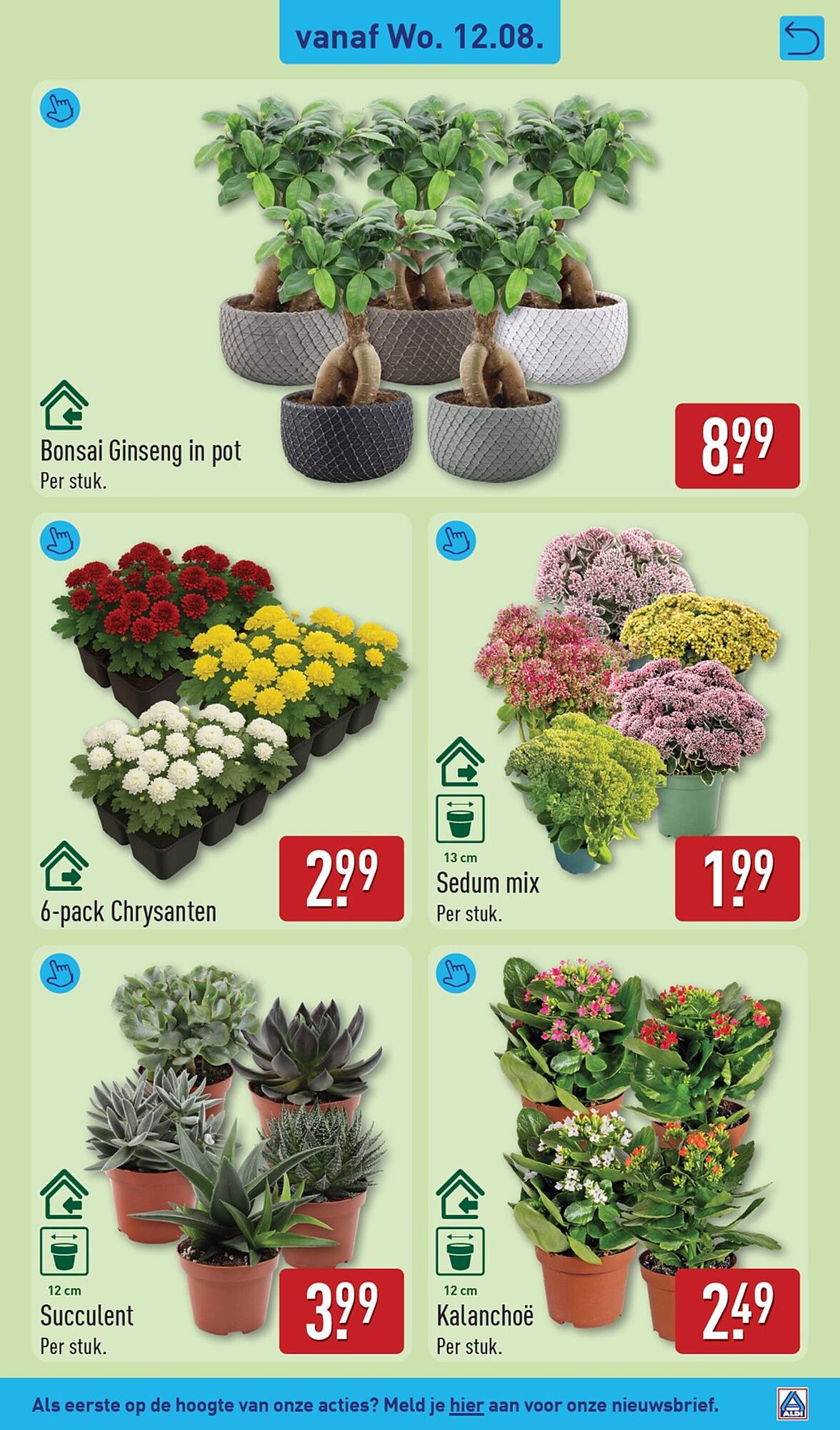 ALDI folder - Pagina 31