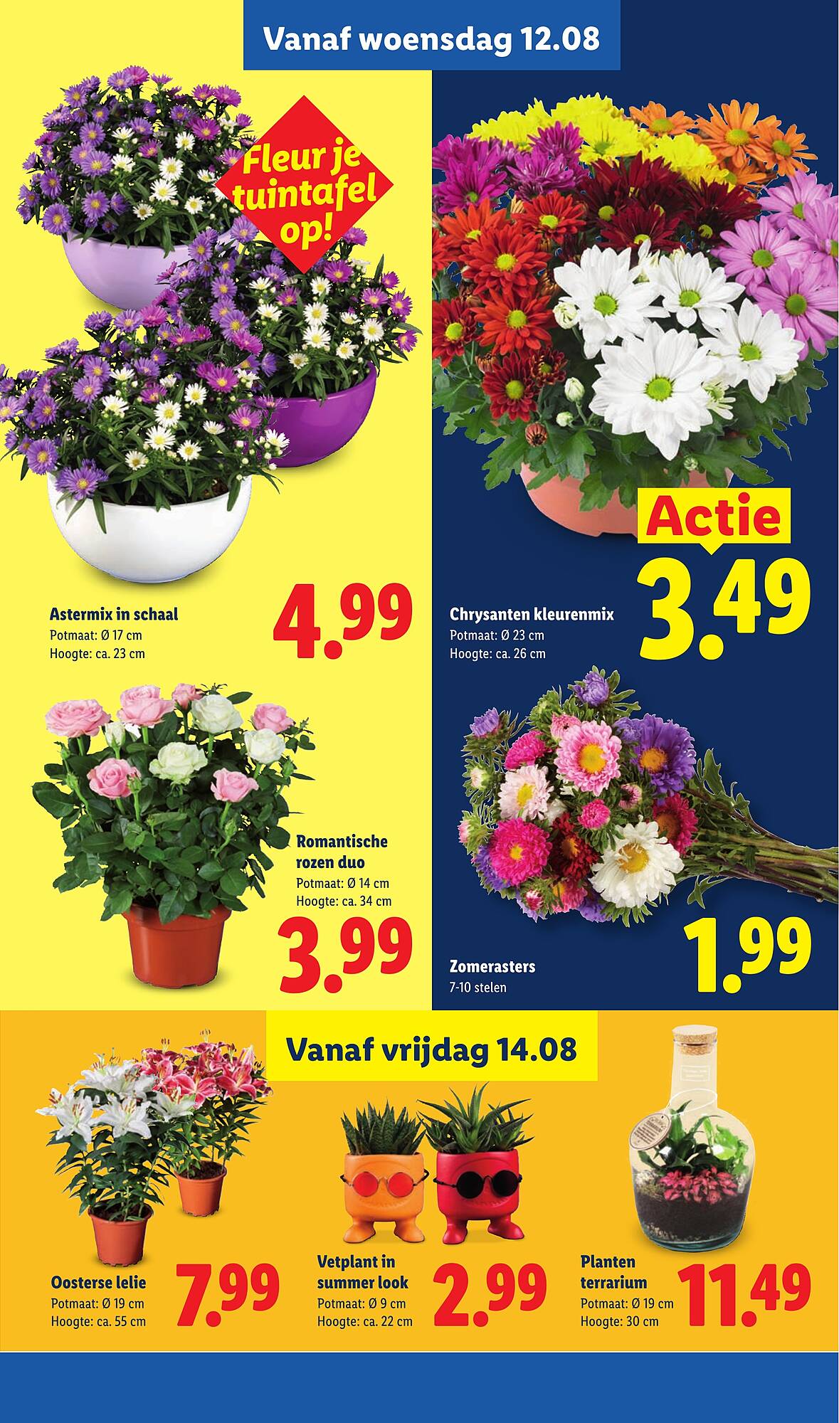 Lidl folder - Pagina 16