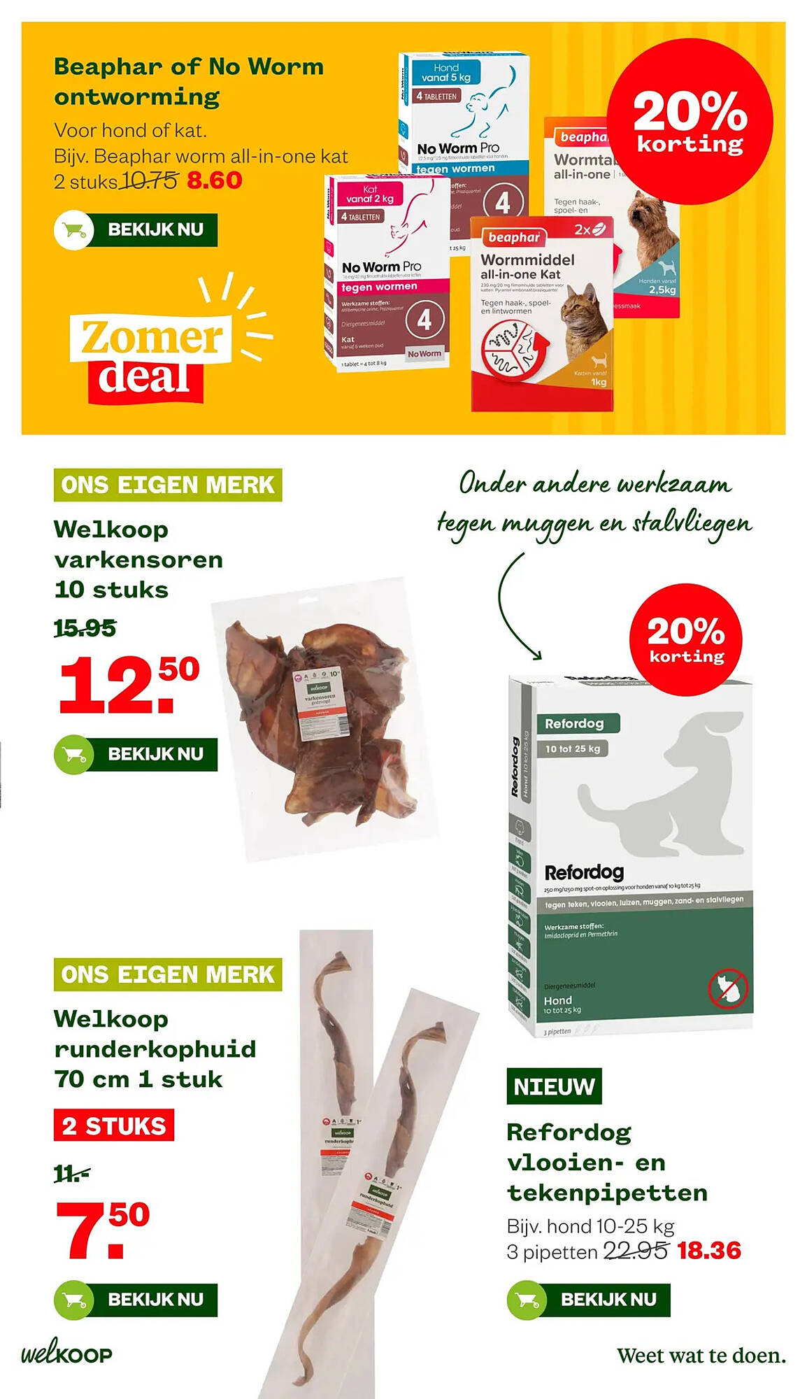 Welkoop folder - Pagina 22
