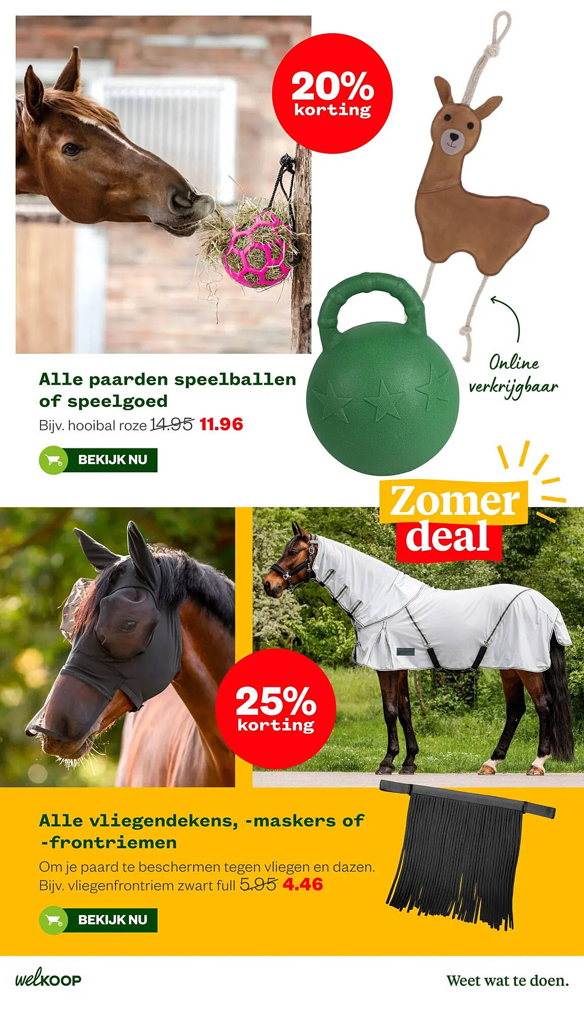 Welkoop folder - Pagina 27