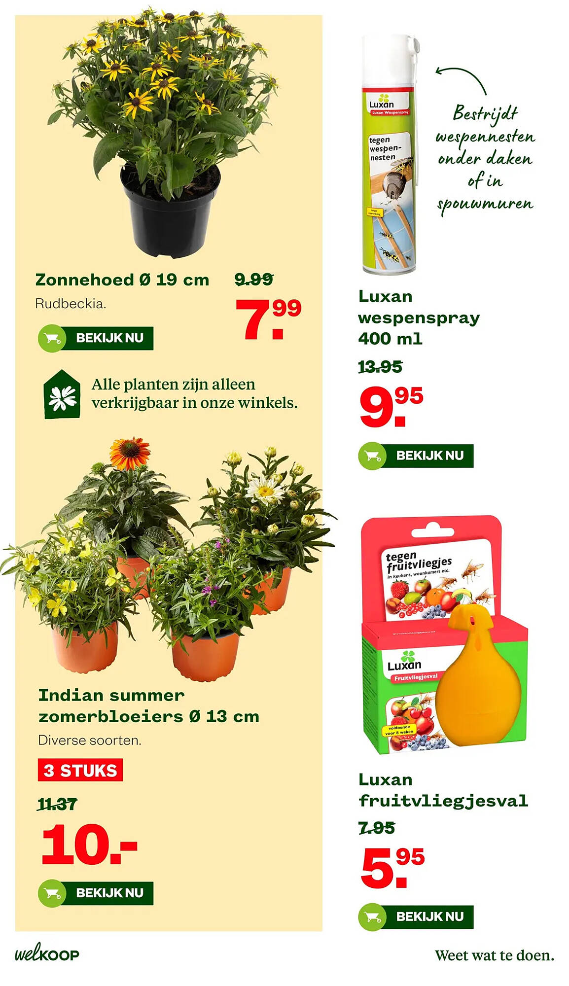 Welkoop folder - Pagina 29