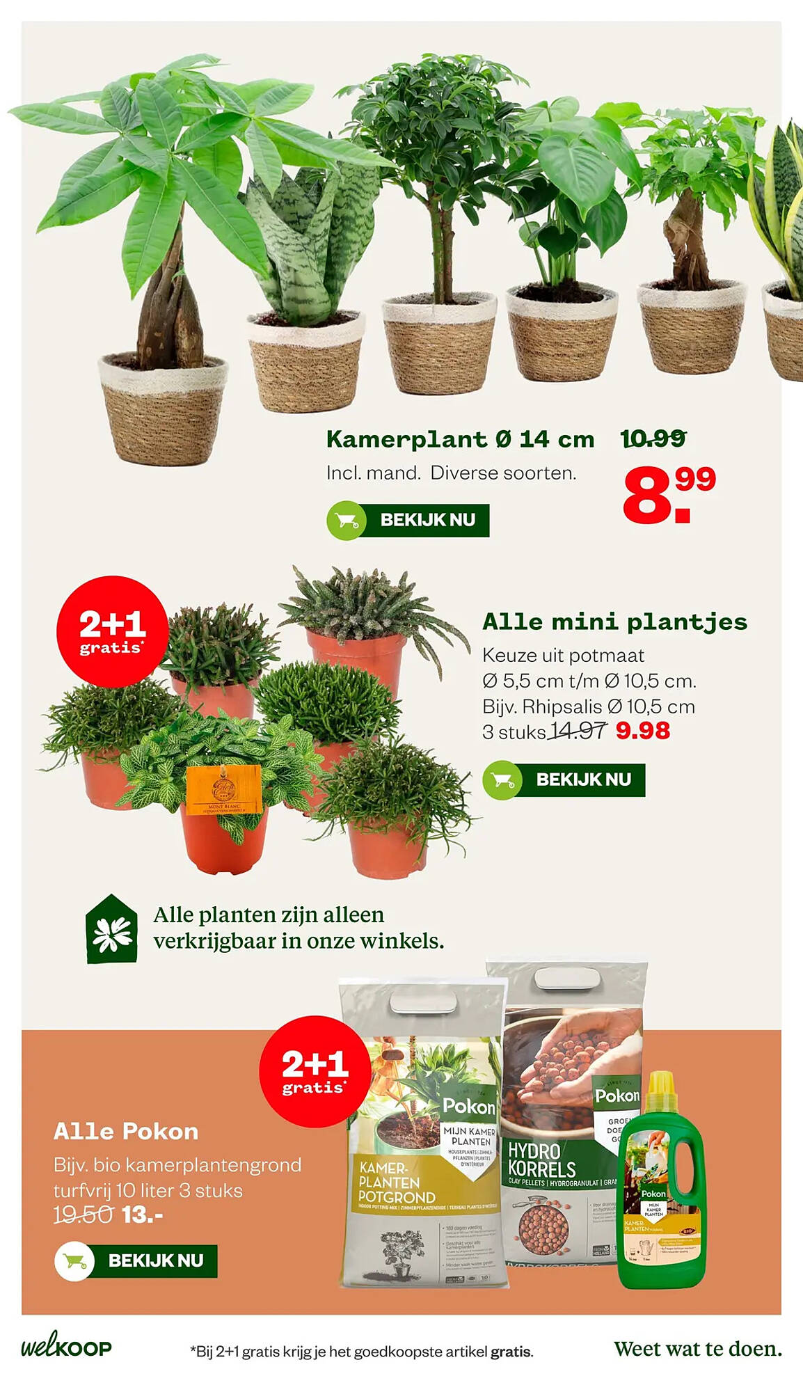 Welkoop folder - Pagina 30