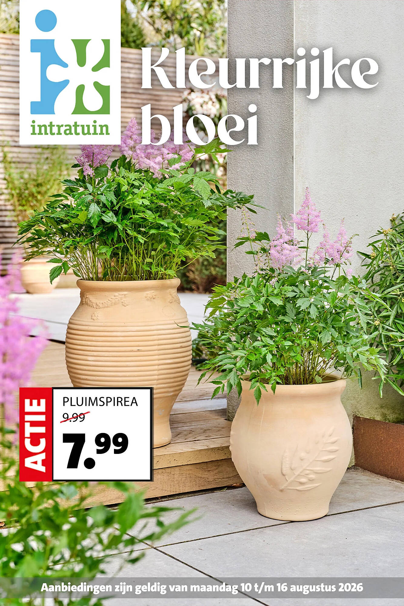 Intratuin folder - Pagina 1
