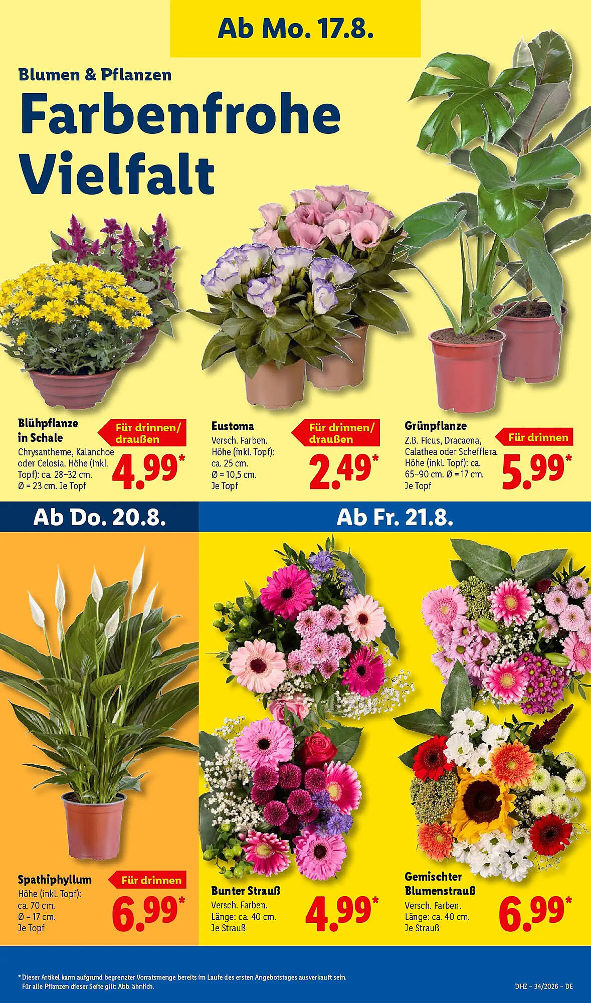 Lidl folder - Pagina 25