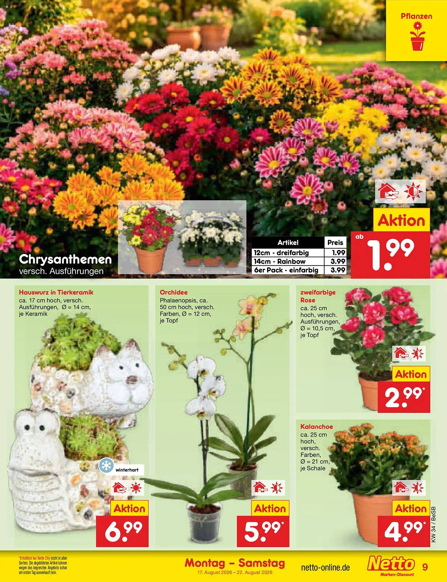 Netto Marken-Discount folder - Pagina 11