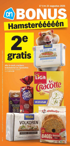 Albert Heijn folder