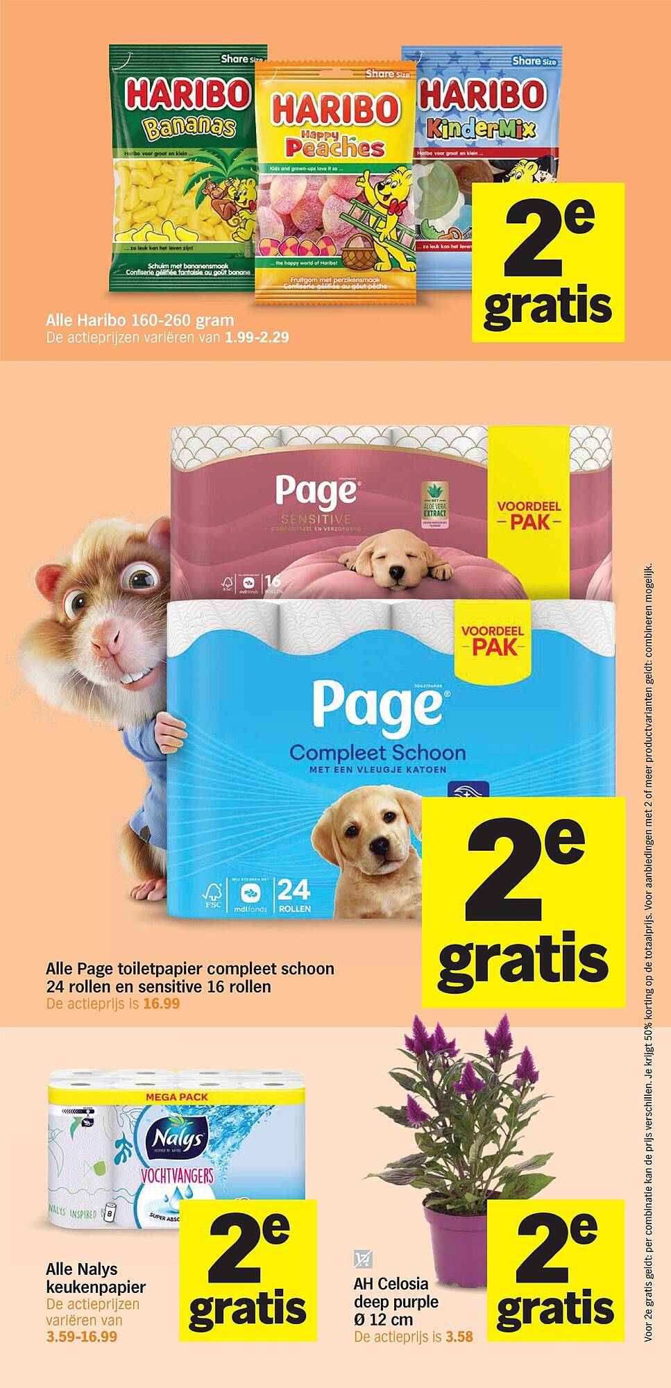 AH To Go folder - Pagina 10