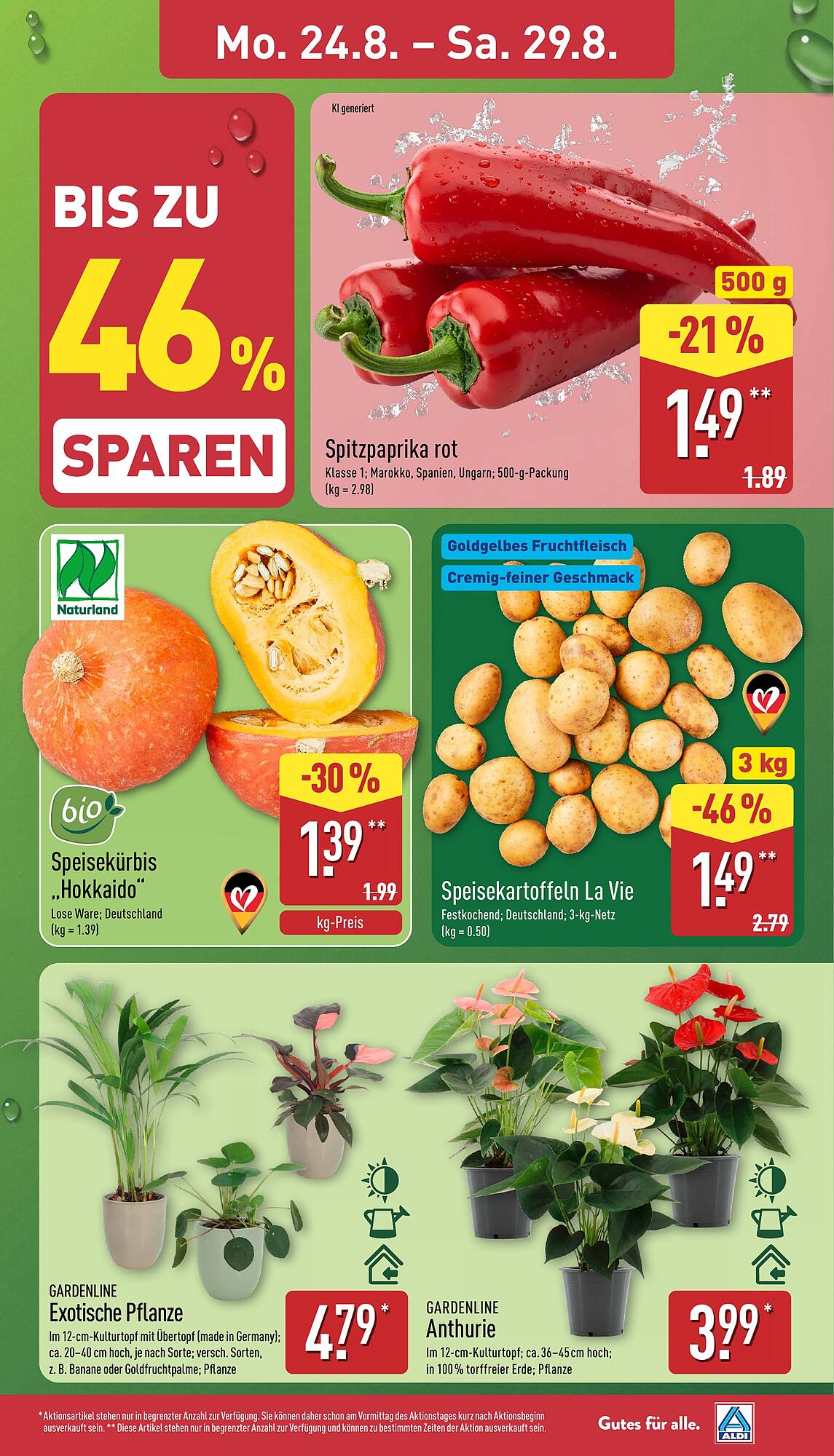 Aldi Nord folder - Pagina 3