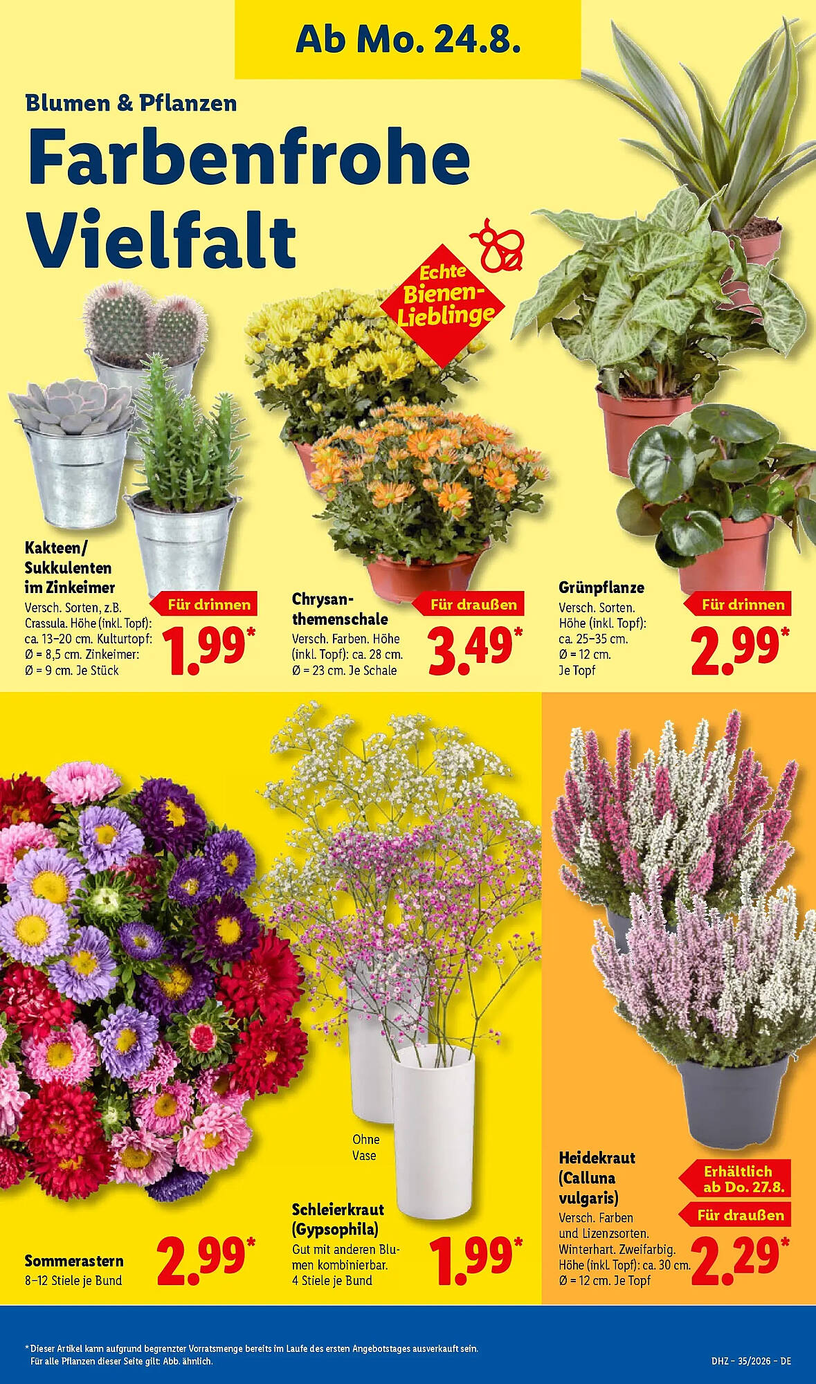 Lidl folder - Pagina 15