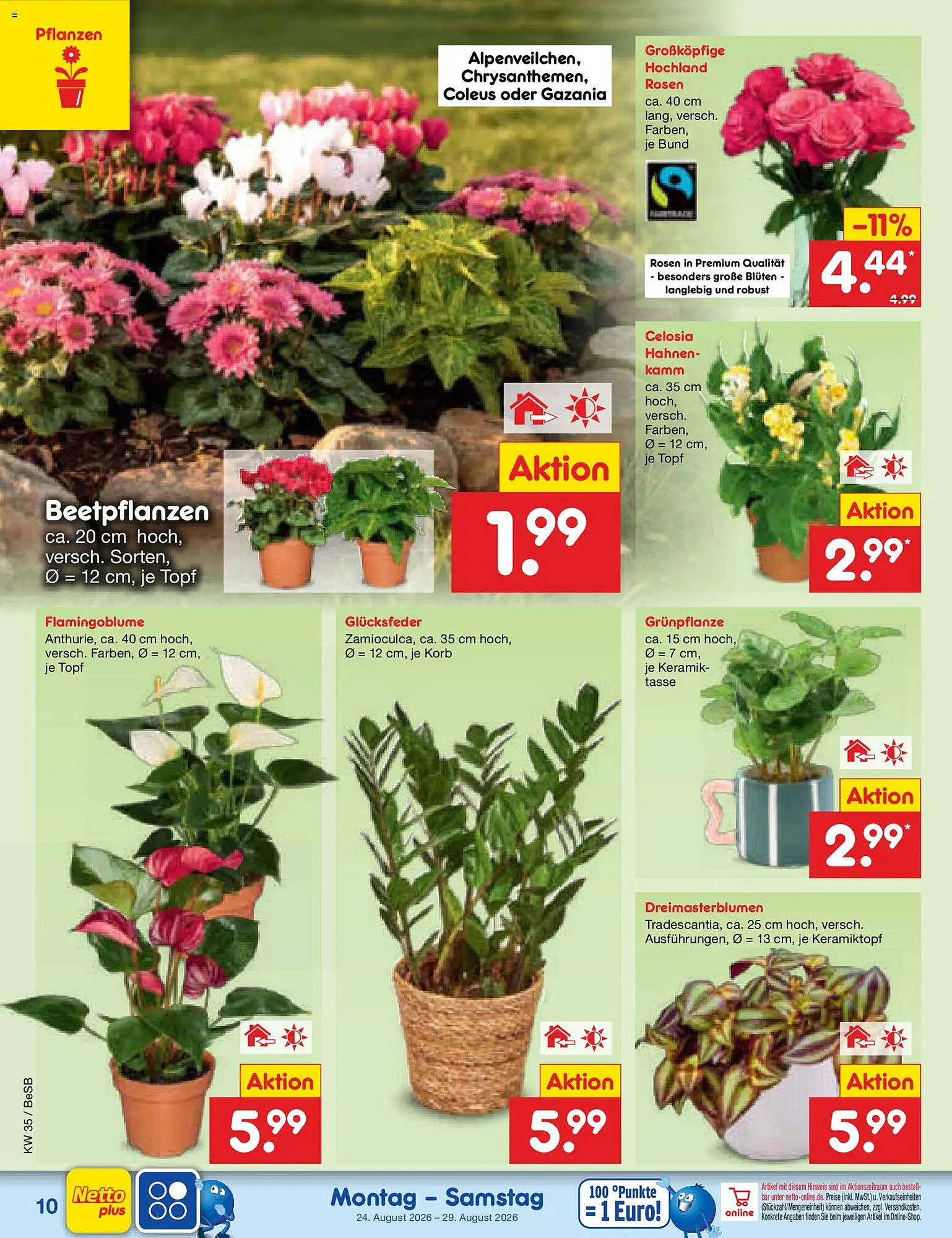 Netto Marken-Discount folder - Pagina 14