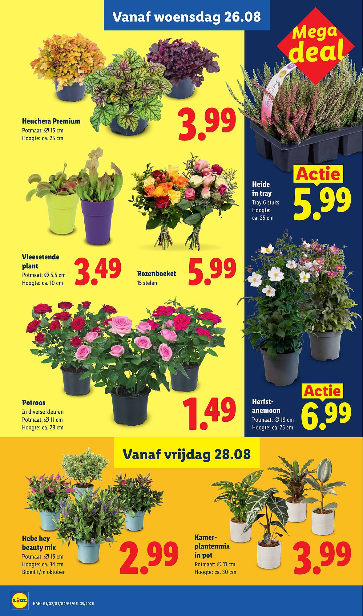 Lidl folder - Pagina 20