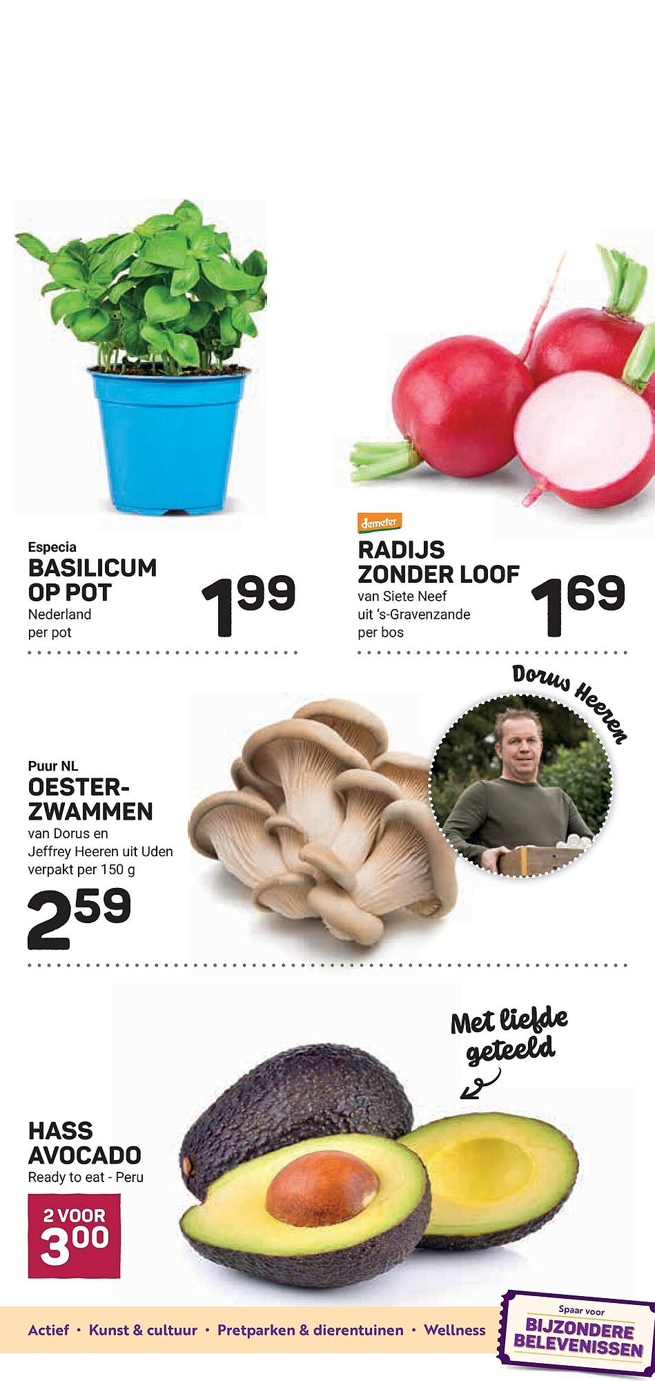 Ekoplaza folder - Pagina 11