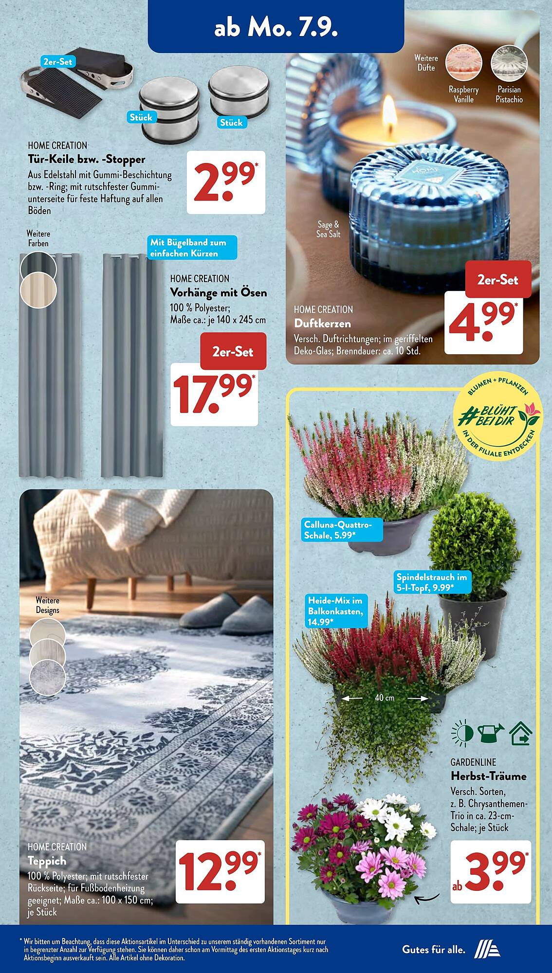 Aldi Süd folder - Pagina 5