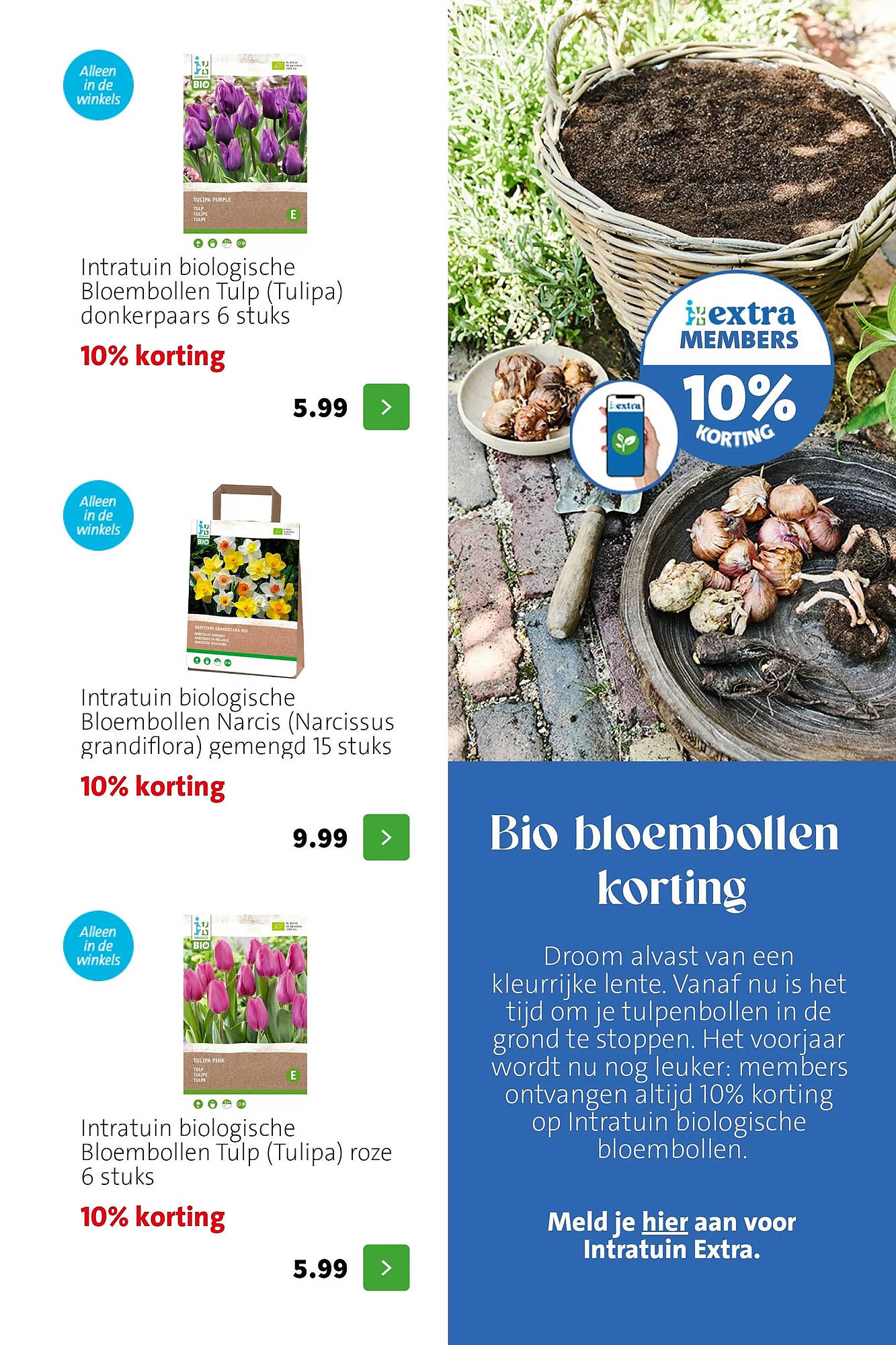 Intratuin folder - Pagina 4