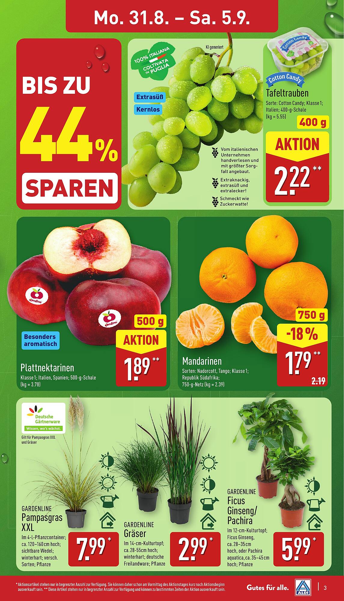 Aldi Nord folder - Pagina 3