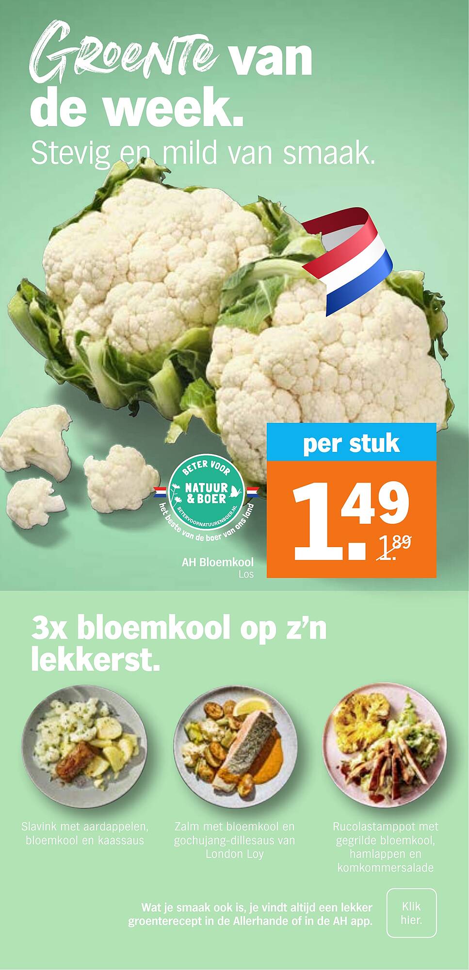 AH XL folder - Pagina 9