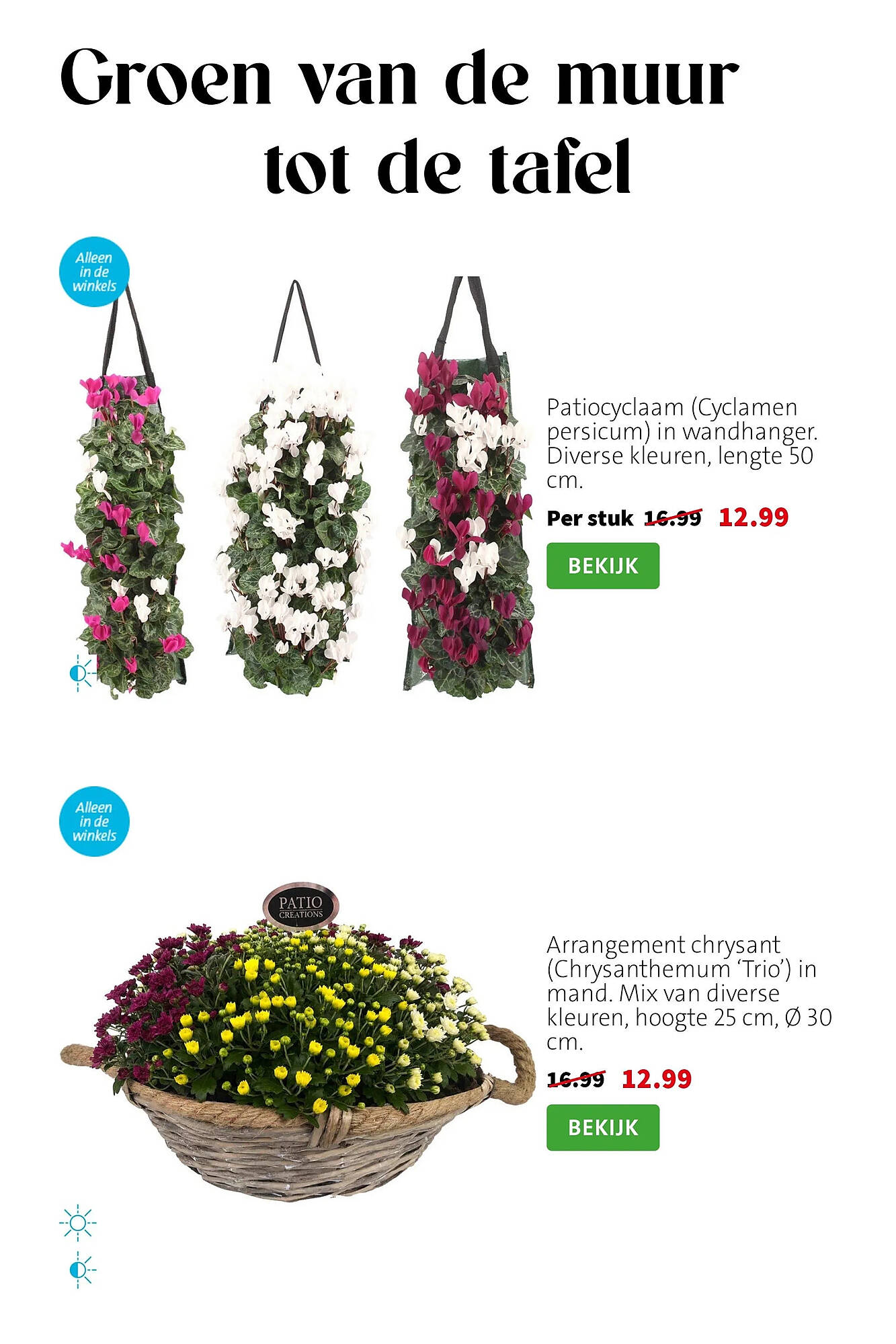 Intratuin folder - Pagina 6