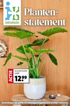 Intratuin folder