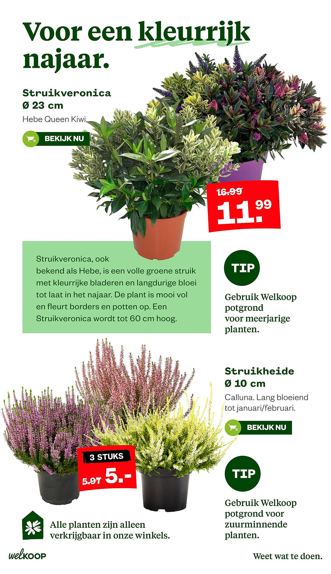 Welkoop folder - Pagina 5