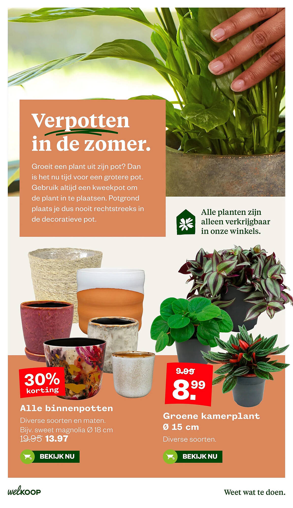 Welkoop folder - Pagina 9