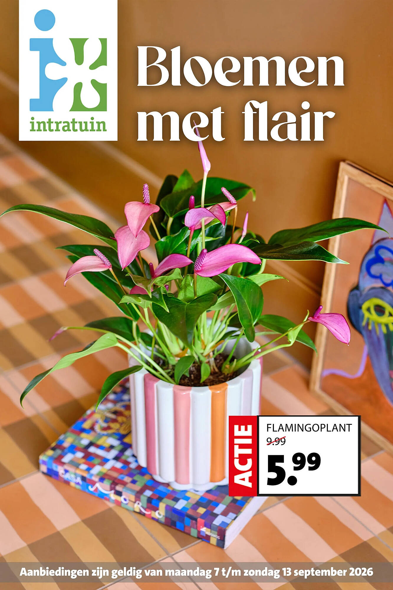 Intratuin folder - Pagina 1