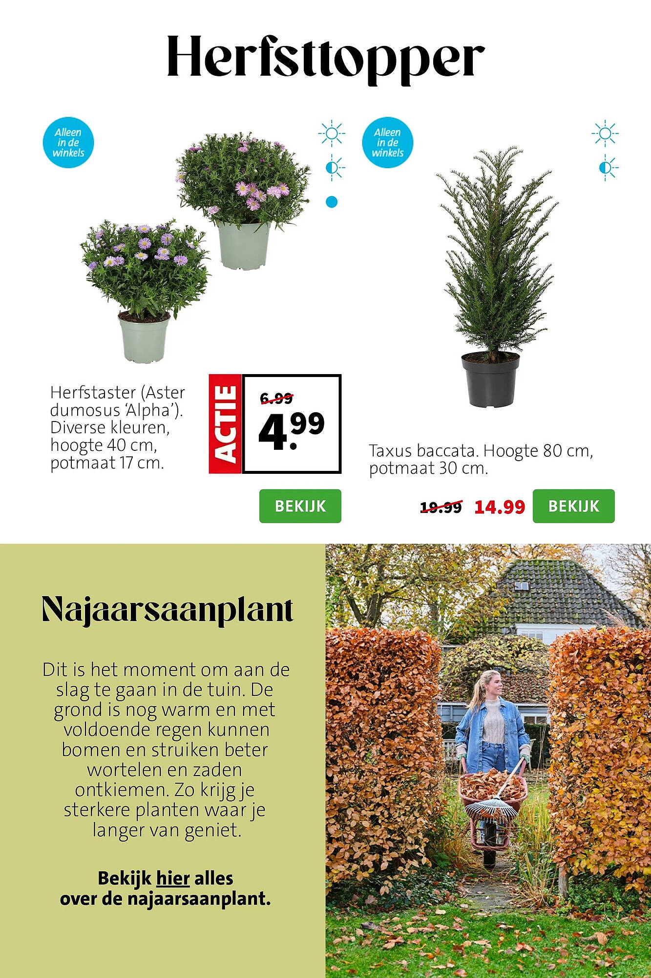 Intratuin folder - Pagina 3