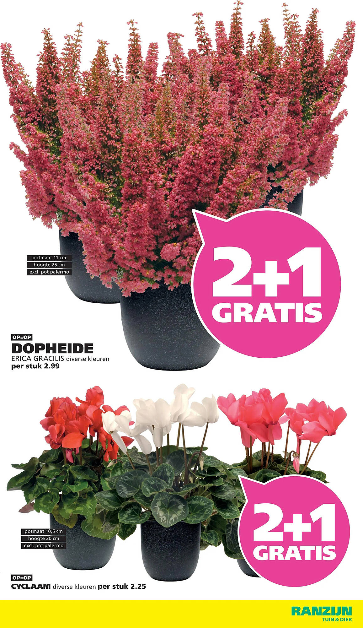 Ranzijn folder - Pagina 8
