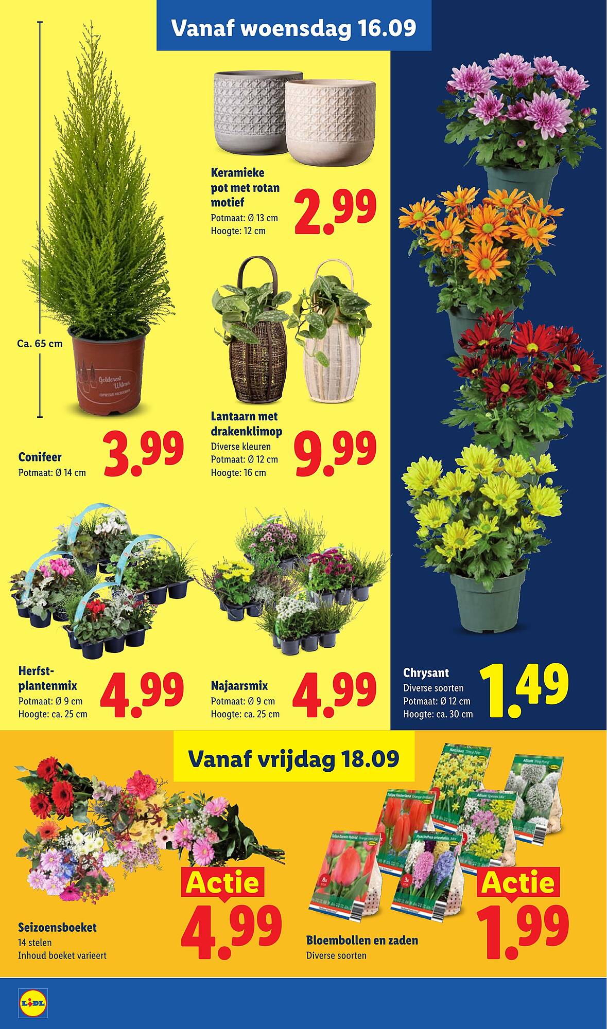 Lidl folder - Pagina 17